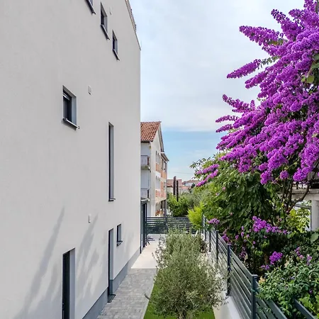 Aurea Zadar